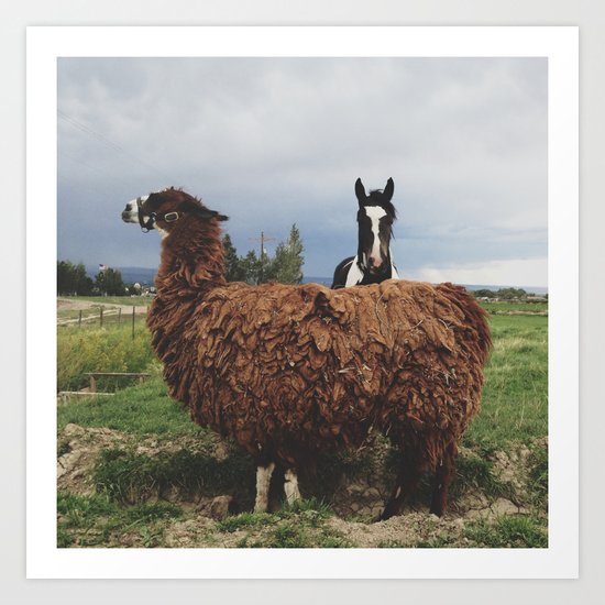 Montrose Posers Art Print