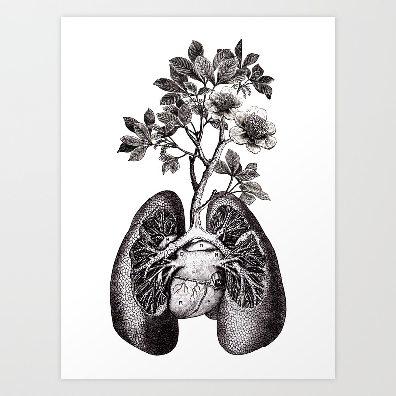 Flourishing Lungs Art Print By Fleuriosity Society6 Heart drawings, love drawings and love images. flourishing lungs art print by fleuriosity