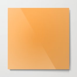 Fluorescent Neon Orange // Pantone® 804 C Metal Print