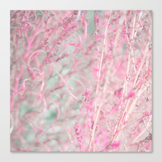 Pastel Plant Canvas Print