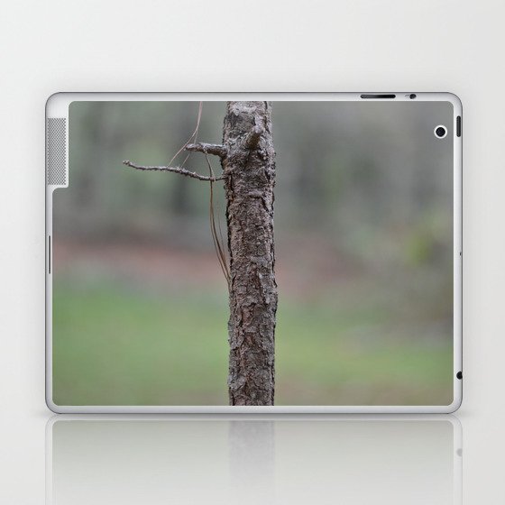 Forest Tree Laptop & iPad Skin