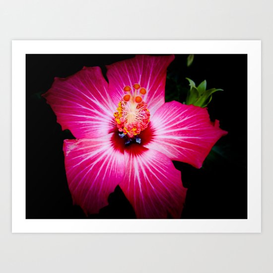 Bursting With Life Art Print