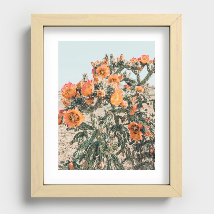 Cholla, Orange Flowering Cactus Recessed Framed Print