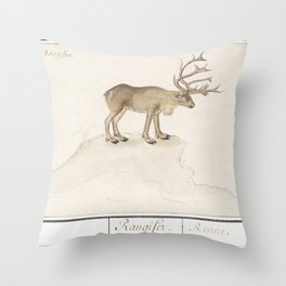 Reindeer, Rangifer tarandus  Throw Pillow
