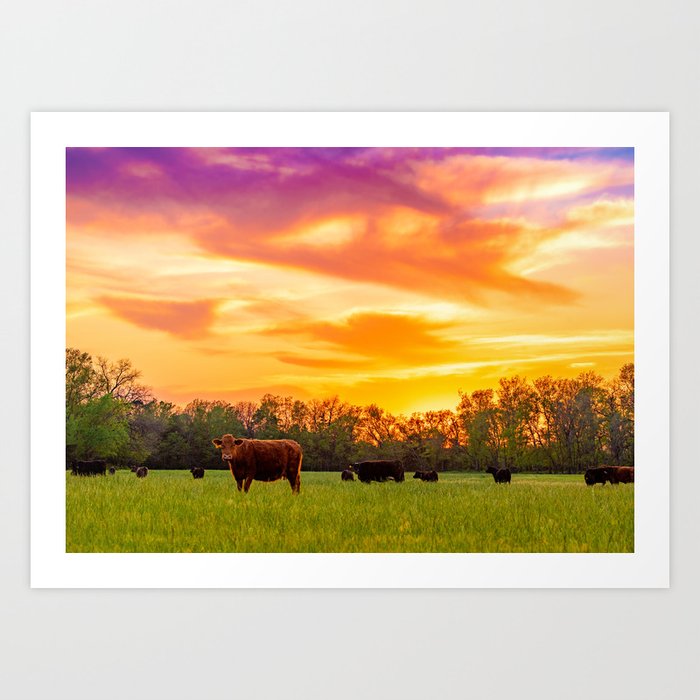 Sunset Herd 3 Art Print