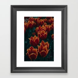 Fuzzy Tulips Framed Art Print