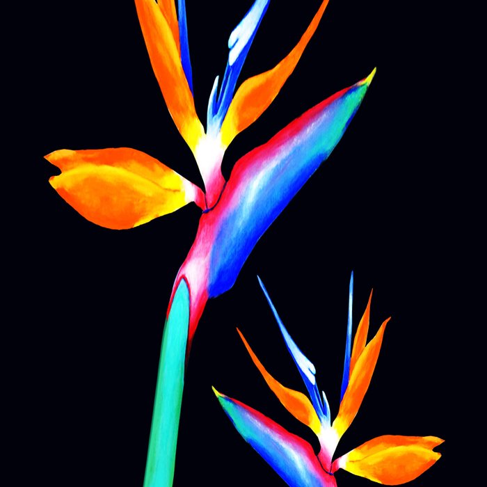 nike birds of paradise leggings