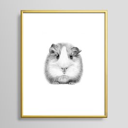 Guinea Pig Framed Art Print