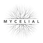 Mycelial Gallery