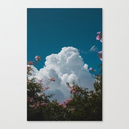 i don't know why Canvas Print