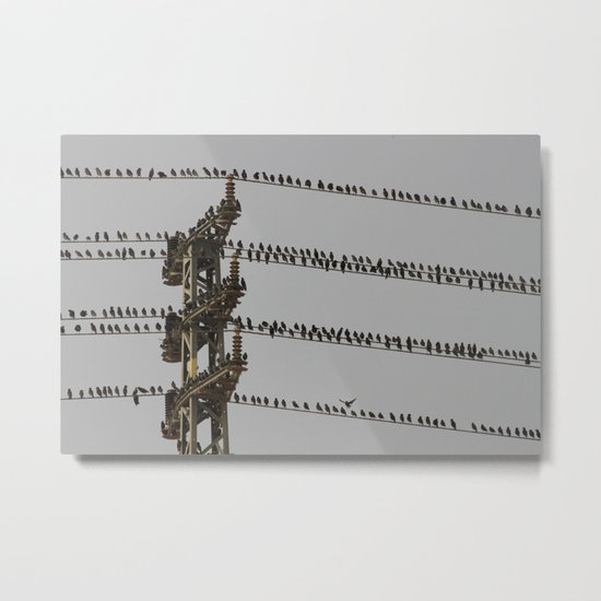 Occupied Metal Print