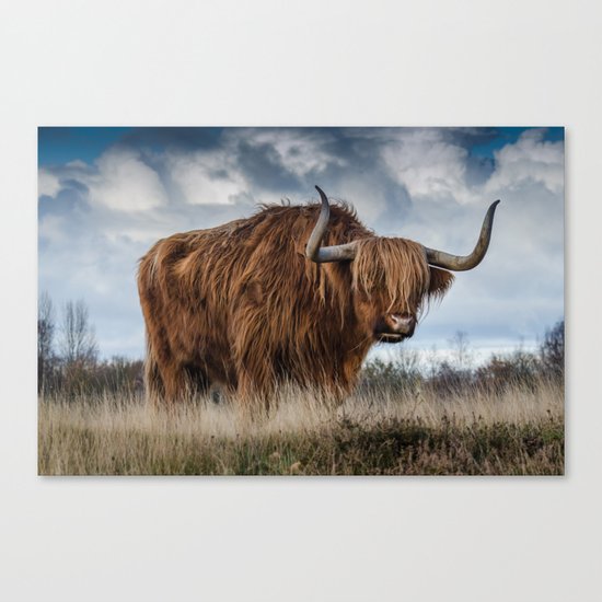 Highlander 1 Canvas Print