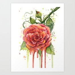 Red Rose Dripping Watercolor Flower Art Print