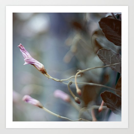fairy world Art Print