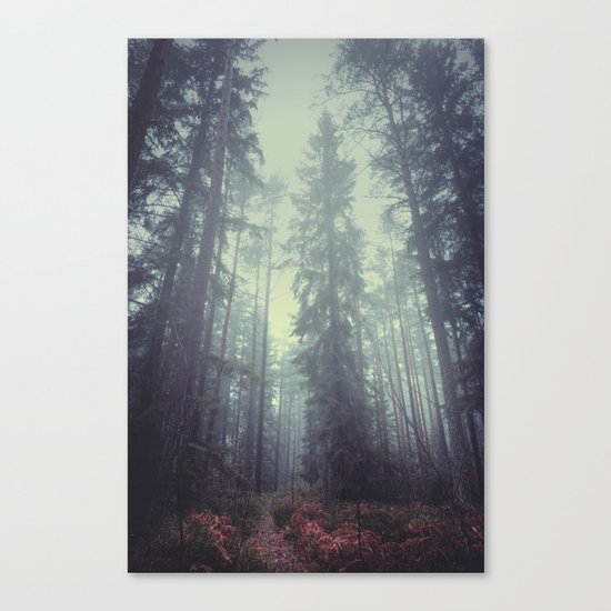 The magic trails Canvas Print