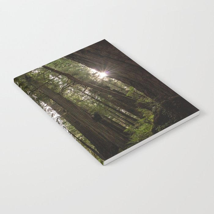 Redwoods Make Me Smile - Nature Photography Notebook