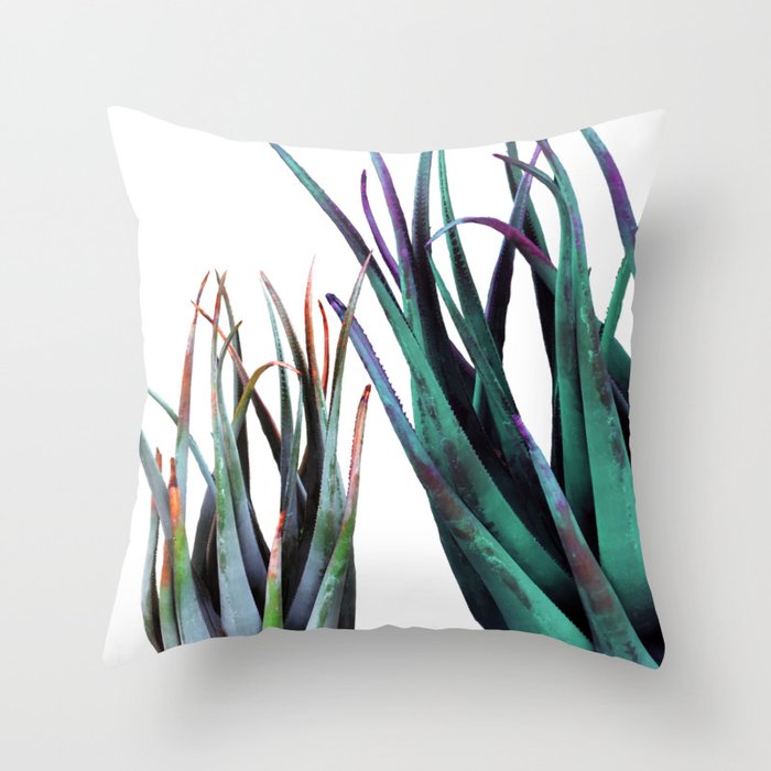 aloe vera pillow