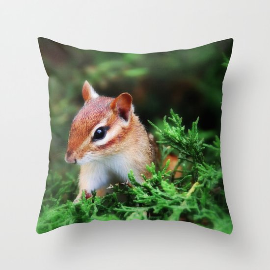 Chipmunk Throw Pillow
