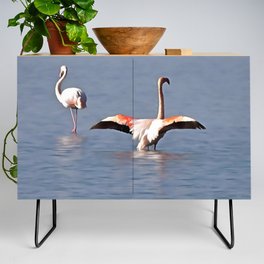 Sunbathing Or Wing-Drying Flamingo Art Credenza