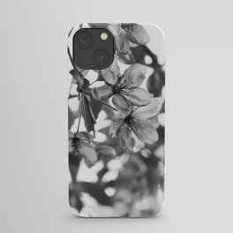 Nature's Glass iPhone Case