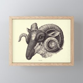 Ram's Head Framed Mini Art Print