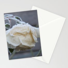 Frosted Rose Ice Flower W Stationery Cards