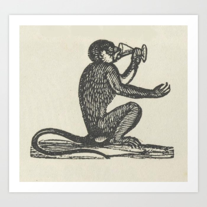 Drinking Monkey Art Print