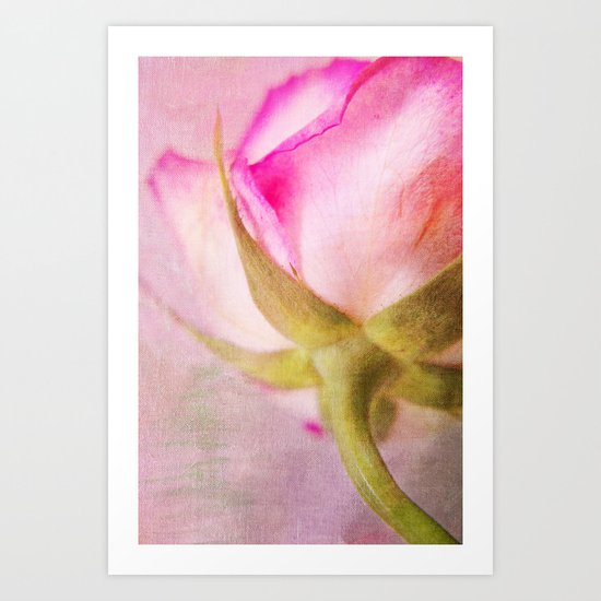 Lady Rose Art Print