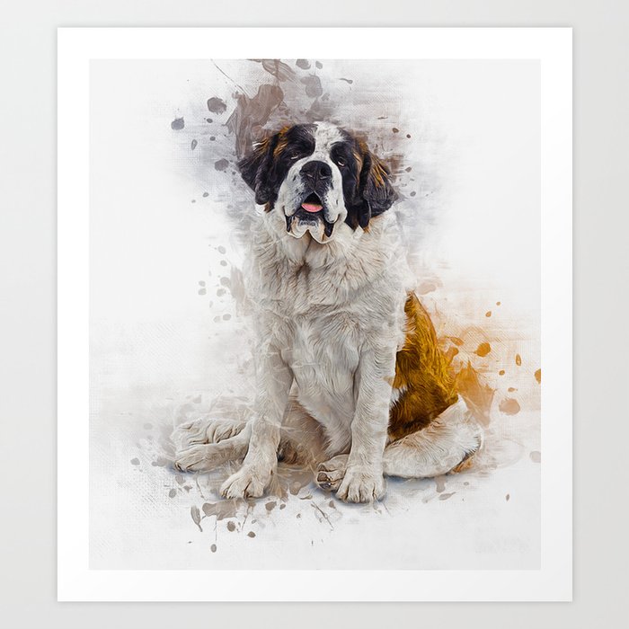 St Bernard Art Print