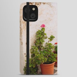 Greek Still Live with Plants | Colorful Travel Scene | Minimalistic Photography iPhone Wallet Case