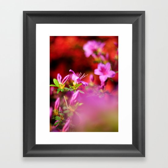 Colors Framed Art Print