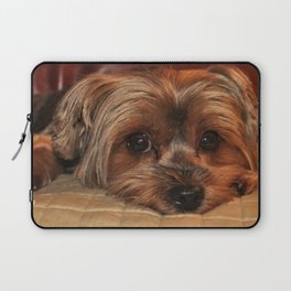 Yorkshire Terrier Puppy Custom Lapotp Sleeves Bags 13 Art Printing Twin Sides
