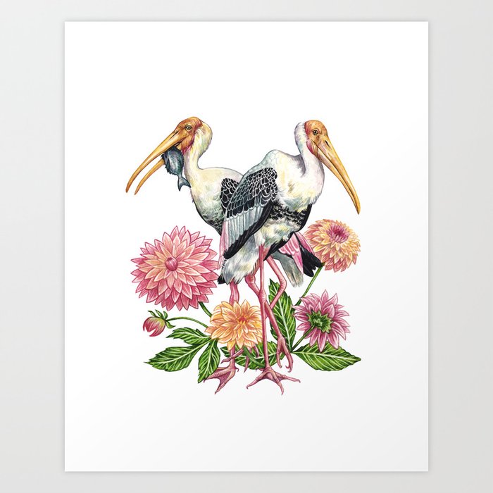 Painted Storks with Florals Art Print