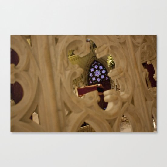 Speak Now... Canvas Print