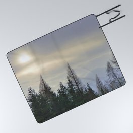 Winter Sunlight View Over a Scottish Pine Forest Picnic Blanket