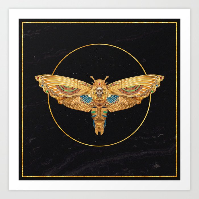 Saturniidae Art Print