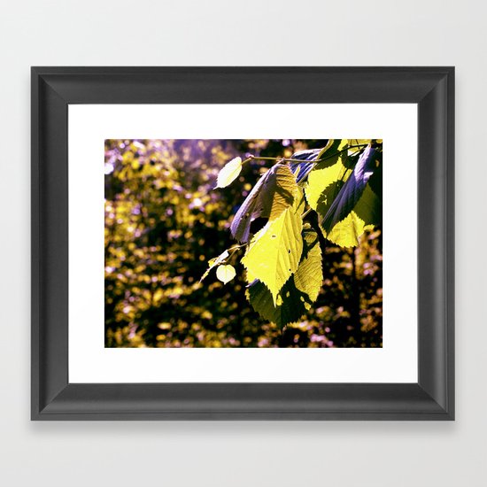 Let The Sun Shine Framed Art Print
