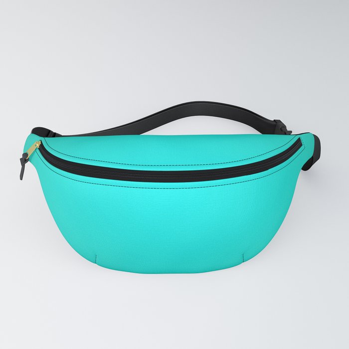 Turquoise fanny outlet pack