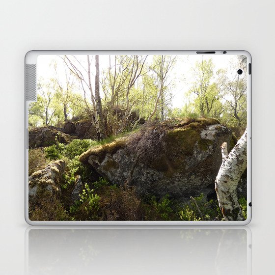 Fairy Realms in the Scottish Highlands Laptop & iPad Skin