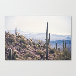 Superstition Wilderness of Arizona Canvas Print