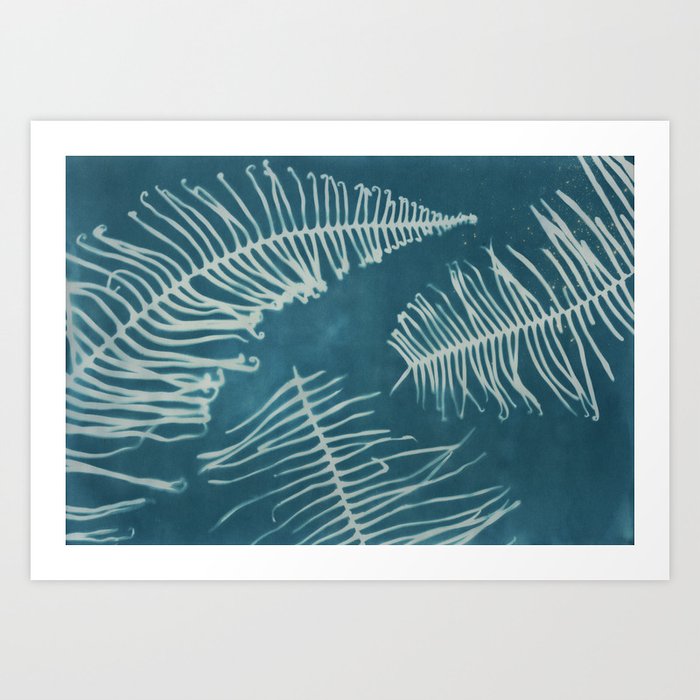 curled ferns on teal Art Print