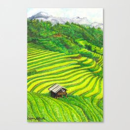 Vietnam Rice Fields Illustration Canvas Print