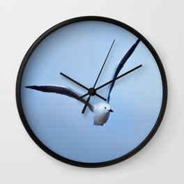 Seagull in flight Wall Clock