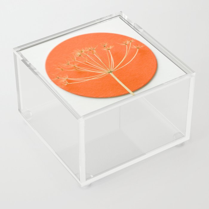 Orange circle and dried flower Acrylic Box