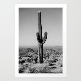 Black and white desert cactus photography poster Art Print
