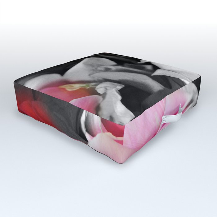 Black and White Roses Fade to Pink and Red Outdoor Floor Cushion