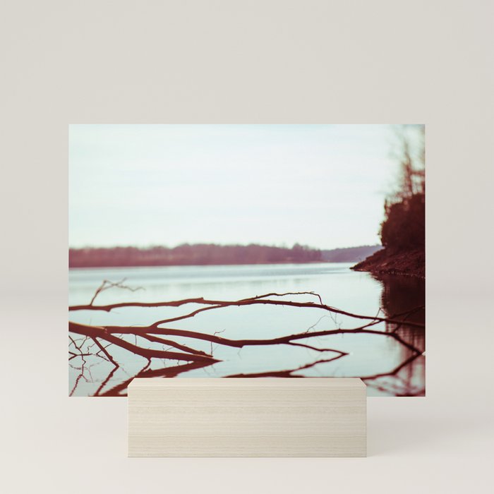 Mini Art Print
