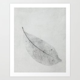 leaf skeleton on texture Art Print