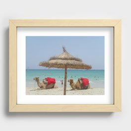 Camels on the beach  Recessed Framed Print
