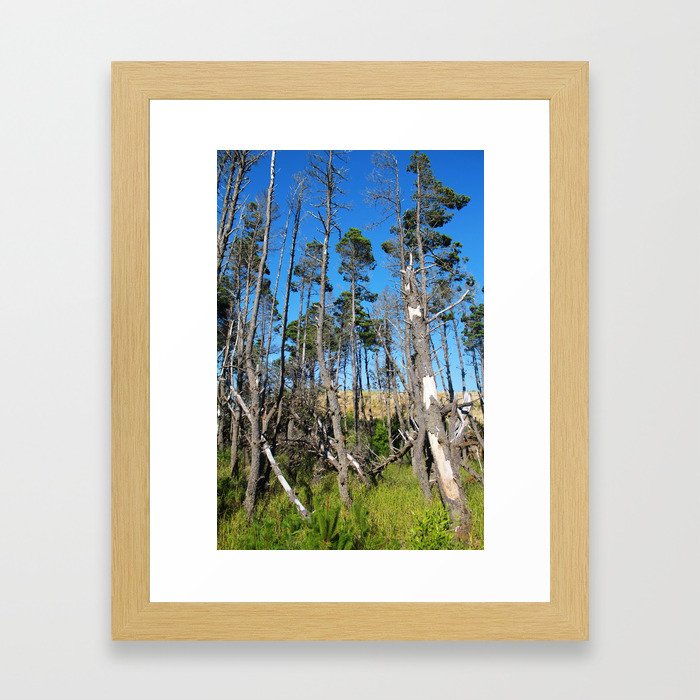 Beach Trees Framed Art Print